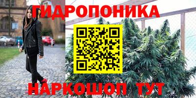 apvp Чебоксары