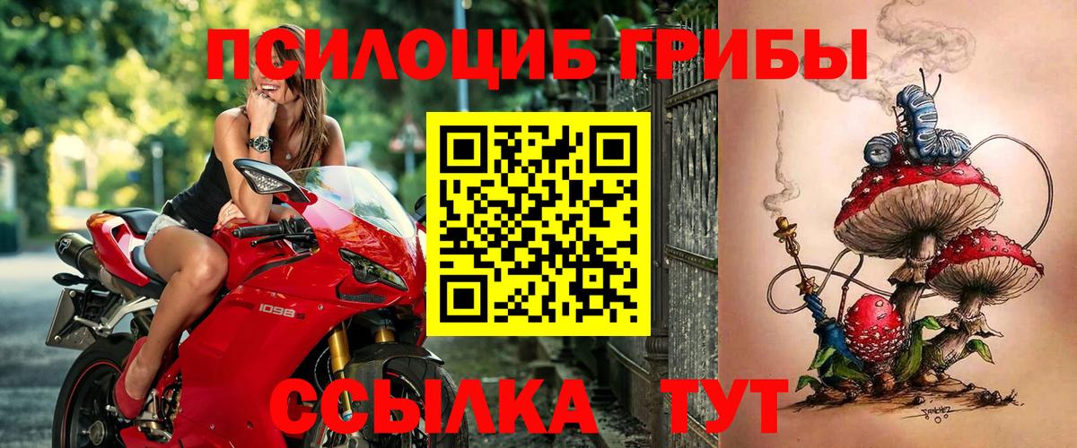 Псилоцибиновые грибы мицелий  Вход с VPN  Белово  Галлюциногенные грибы Magic Shrooms 